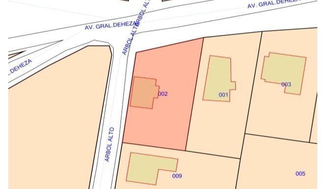 WhatsApp Image 2025-08-08 at 18.13.36