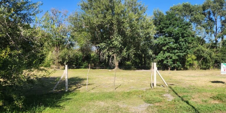 WhatsApp Image 2026-02-28 at 08.41.10 (1)