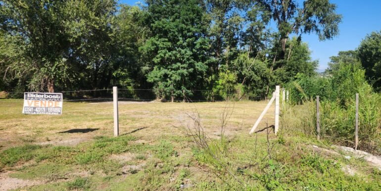 WhatsApp Image 2026-02-28 at 08.41.12 (1)