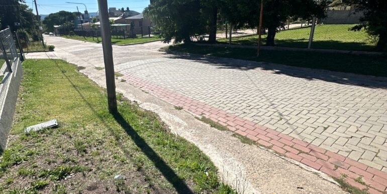 WhatsApp Image 2026-03-03 at 14.04.25