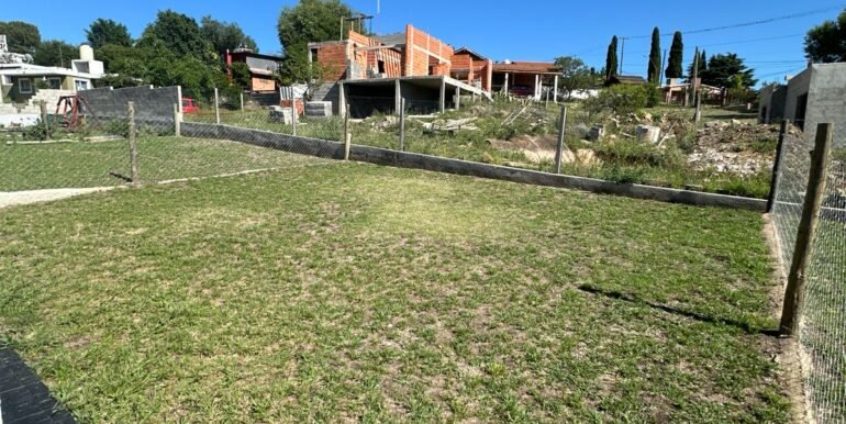 WhatsApp Image 2026-03-03 at 14.04.26 (3)