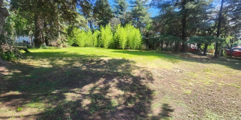 WhatsApp Image 2026-03-10 at 19.18.54