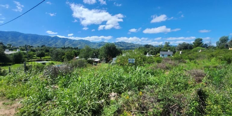 WhatsApp Image 2026-03-14 at 09.36.45 (1)