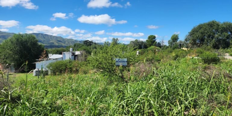 WhatsApp Image 2026-03-14 at 09.36.45