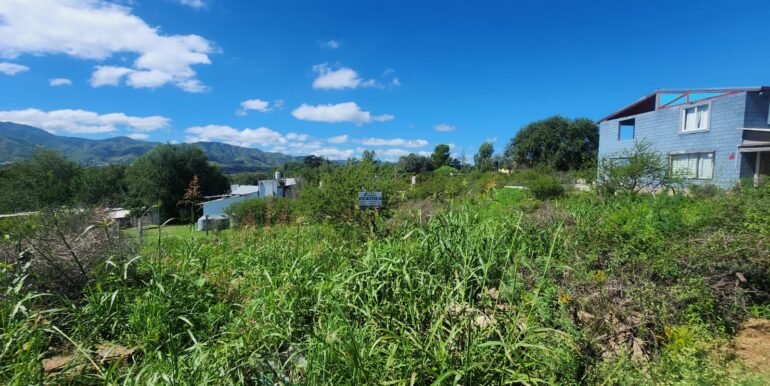 WhatsApp Image 2026-03-14 at 09.36.53 (1)