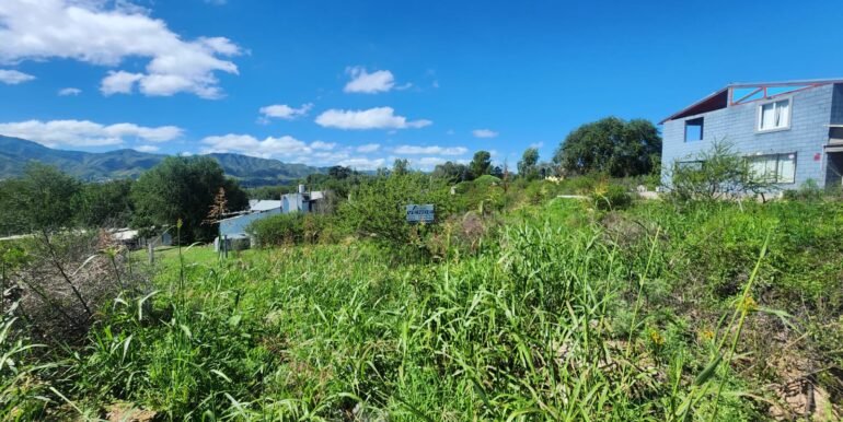 WhatsApp Image 2026-03-14 at 09.36.53 (2)