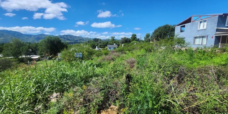 WhatsApp Image 2026-03-14 at 09.36.53