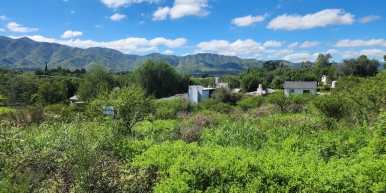 WhatsApp Image 2026-03-14 at 09.36.54 (2)