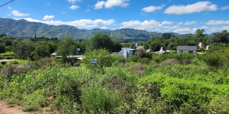 WhatsApp Image 2026-03-14 at 09.36.54 (3)