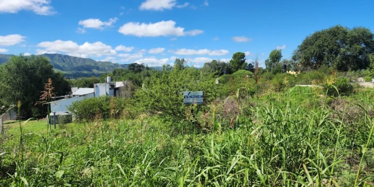 WhatsApp Image 2026-03-14 at 09.36.54