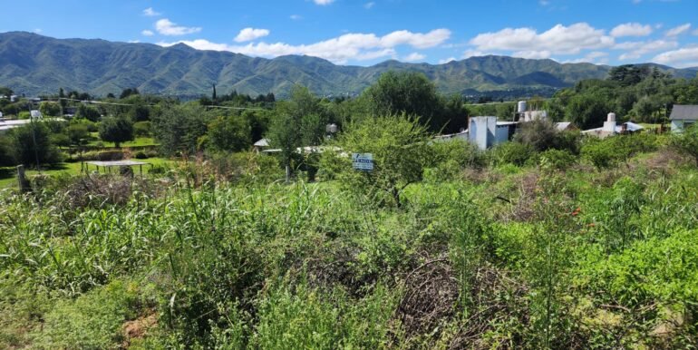 WhatsApp Image 2026-03-14 at 09.36.55 (1)