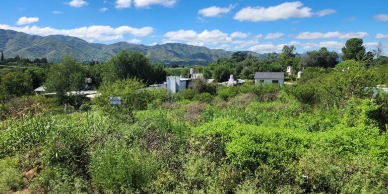 WhatsApp Image 2026-03-14 at 09.36.55