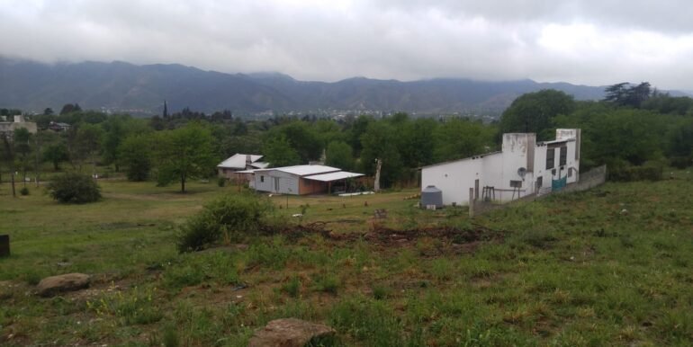 WhatsApp Image 2026-03-14 at 09.51.19 (1)