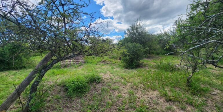 WhatsApp Image 2026-03-14 at 12.47.01 (2)