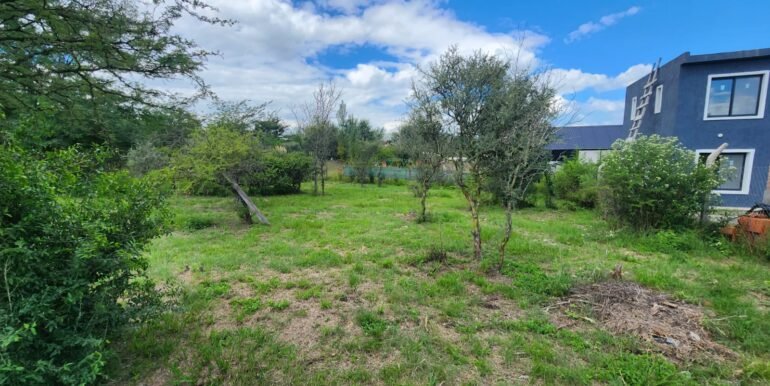 WhatsApp Image 2026-03-14 at 12.47.02 (3)