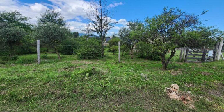 WhatsApp Image 2026-03-14 at 12.47.04 (2)