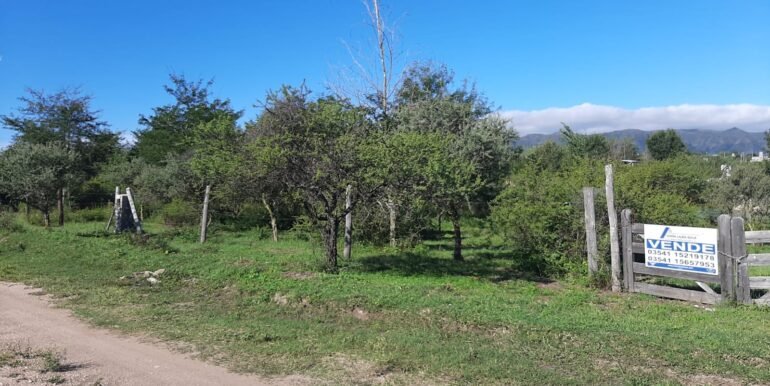 WhatsApp Image 2026-03-15 at 22.55.13 (1)