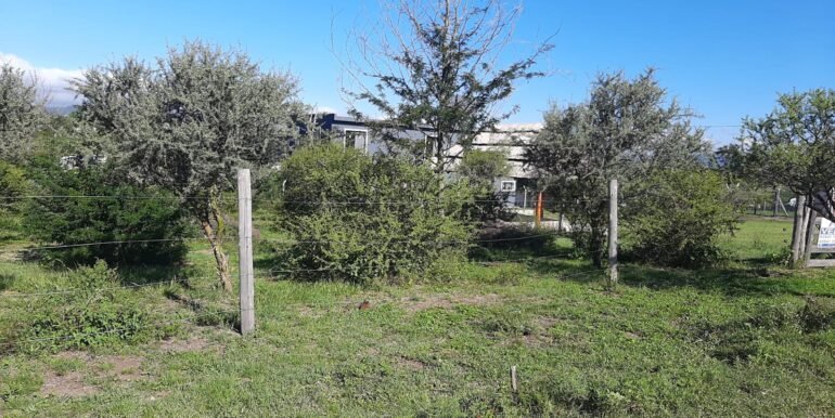 WhatsApp Image 2026-03-15 at 22.55.15 (1)