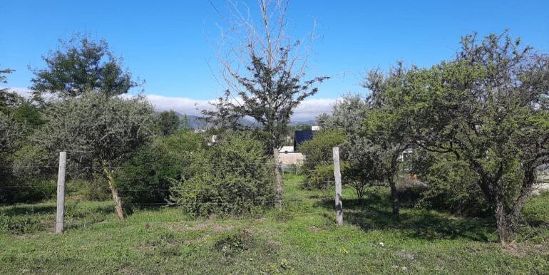 WhatsApp Image 2026-03-15 at 22.55.15