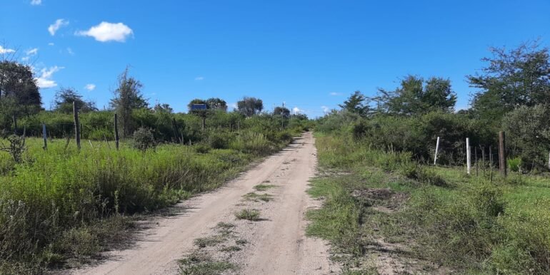 WhatsApp Image 2026-03-15 at 22.55.18 (1)