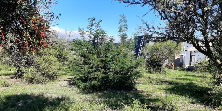 WhatsApp Image 2026-03-15 at 22.55.22 (2)