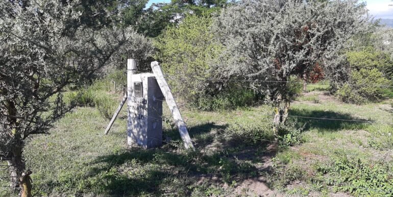 WhatsApp Image 2026-03-15 at 22.55.24 (1)