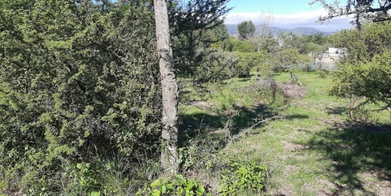 WhatsApp Image 2026-03-15 at 22.55.27 (2)