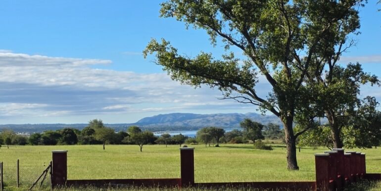 WhatsApp Image 2026-03-30 at 09.21.08