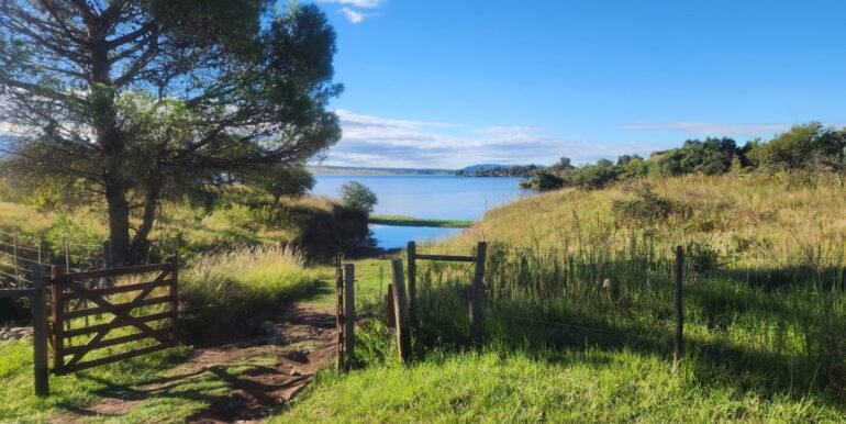 WhatsApp Image 2026-03-30 at 09.23.21 (1)