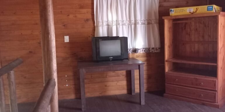 WhatsApp Image 2022-11-09 at 11.57.56