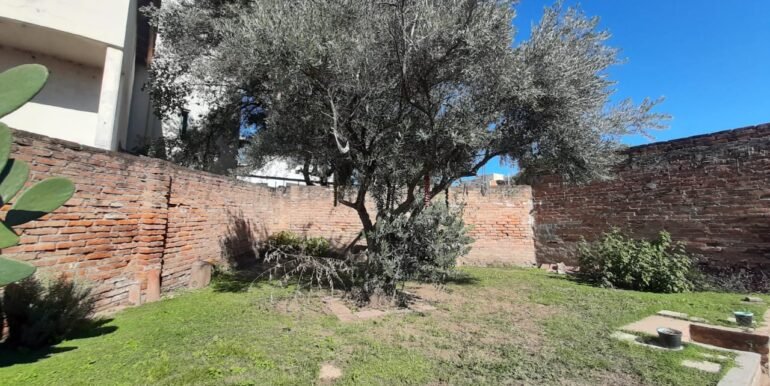 WhatsApp Image 2025-05-13 at 10.09.46