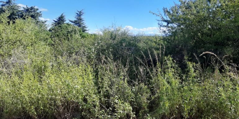 WhatsApp Image 2026-04-03 at 00.42.40 (1)