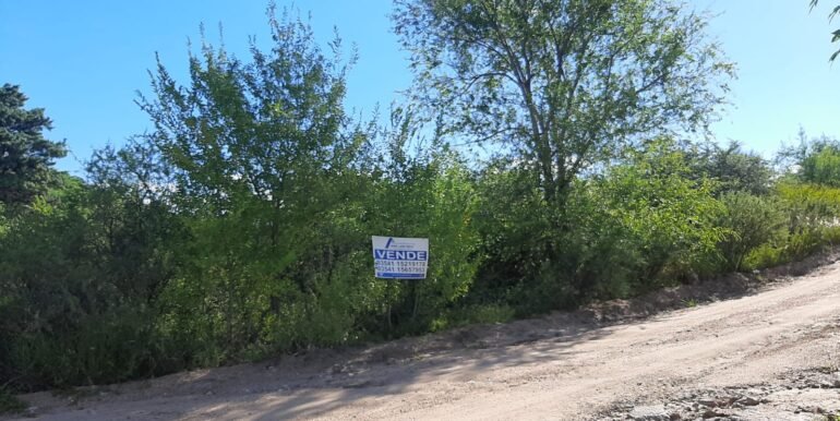 WhatsApp Image 2026-04-03 at 00.42.44