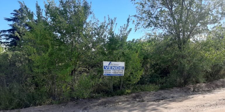 WhatsApp Image 2026-04-03 at 00.42.49 (1)