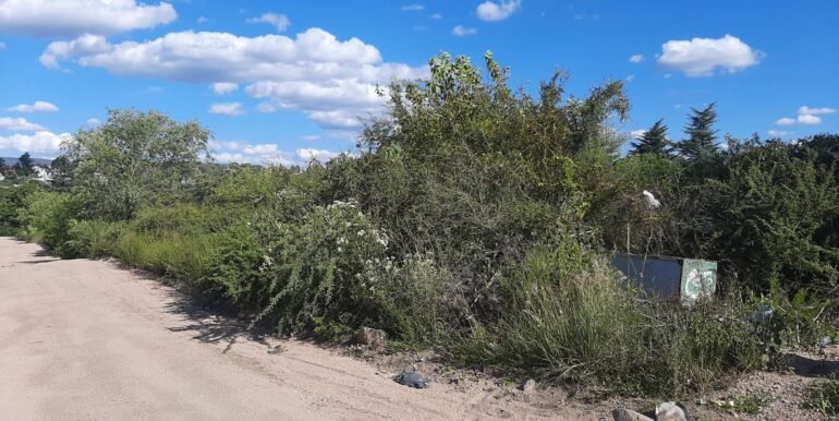 WhatsApp Image 2026-04-03 at 00.42.54 (1)