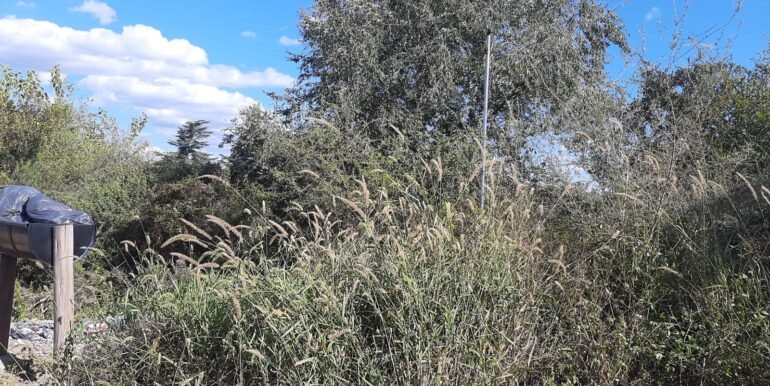 WhatsApp Image 2026-04-03 at 00.42.56