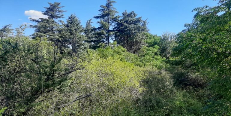 WhatsApp Image 2026-04-03 at 00.43.00 (1)