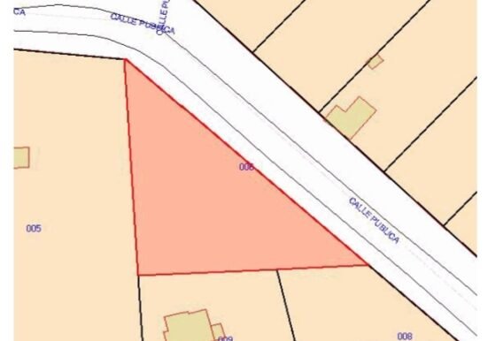 WhatsApp Image 2026-04-03 at 16.43.54