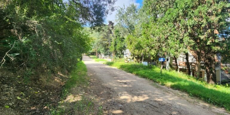 WhatsApp Image 2026-04-03 at 17.57.49