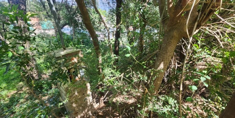 WhatsApp Image 2026-04-03 at 17.57.55