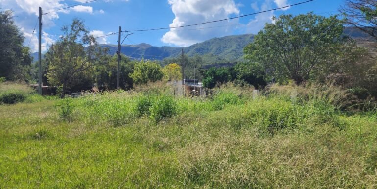 WhatsApp Image 2026-04-04 at 12.34.59 (1)