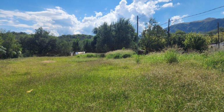 WhatsApp Image 2026-04-04 at 12.35.00