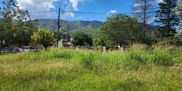 WhatsApp Image 2026-04-04 at 12.35.01 (5)