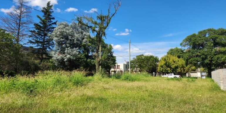 WhatsApp Image 2026-04-04 at 12.35.03 (1)