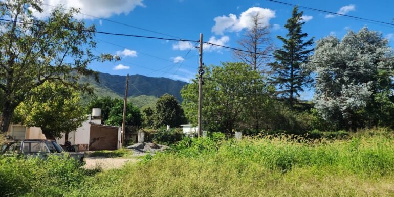 WhatsApp Image 2026-04-04 at 12.35.03