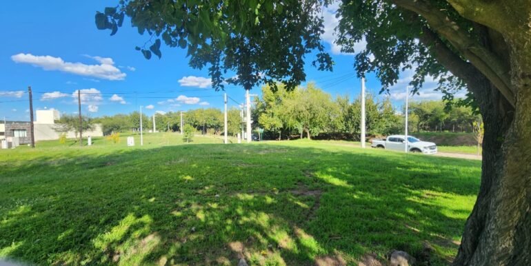 WhatsApp Image 2026-04-07 at 17.01.57 (1)