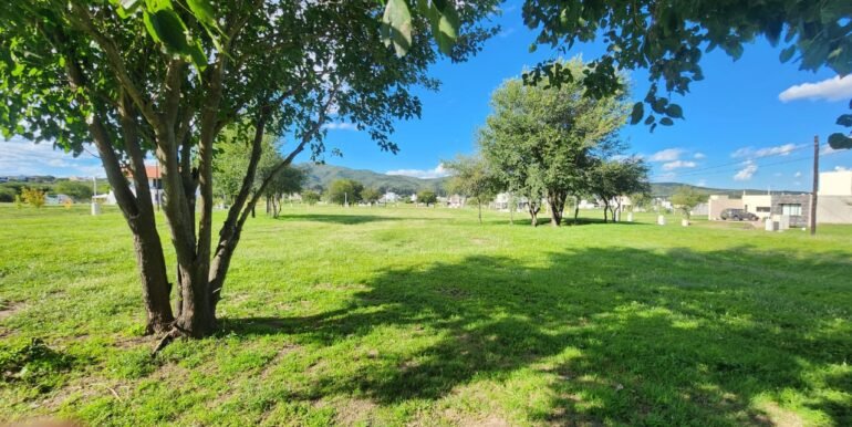 WhatsApp Image 2026-04-07 at 17.01.57