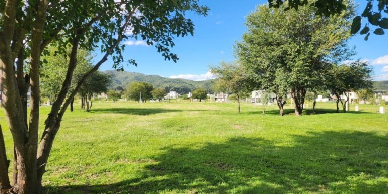 WhatsApp Image 2026-04-07 at 17.01.58 (2)