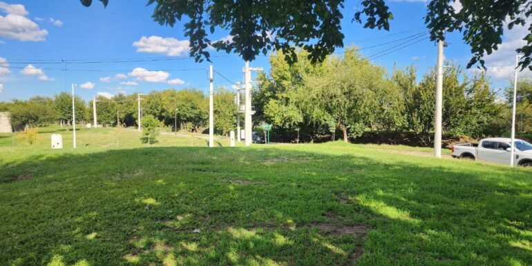 WhatsApp Image 2026-04-07 at 17.01.58