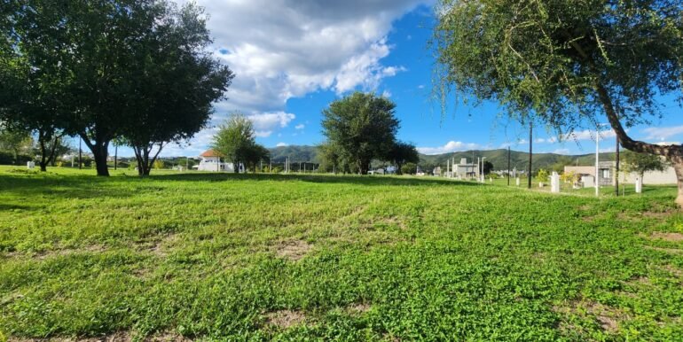 WhatsApp Image 2026-04-07 at 17.01.59